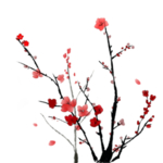 梅花素材