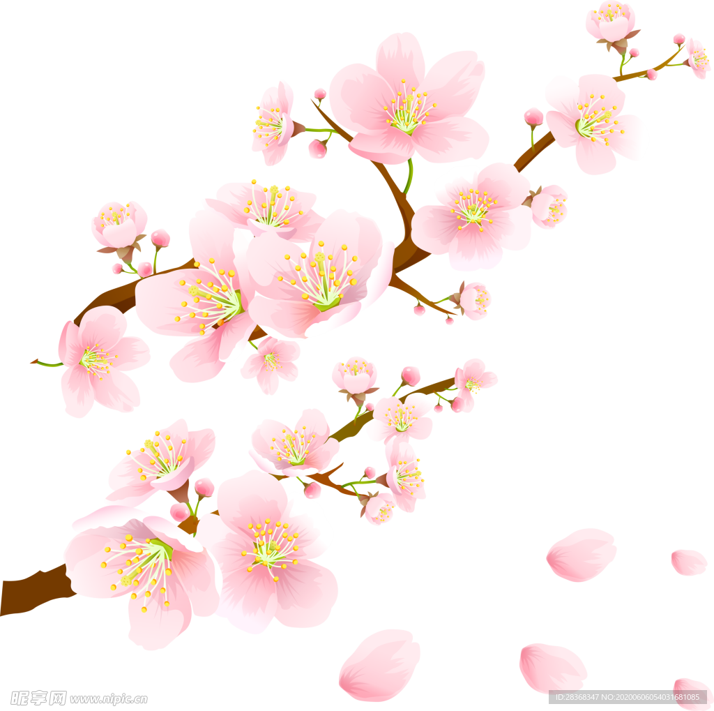 梅花素材