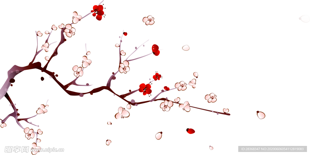 梅花素材