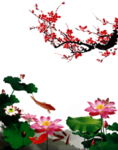 梅花素材