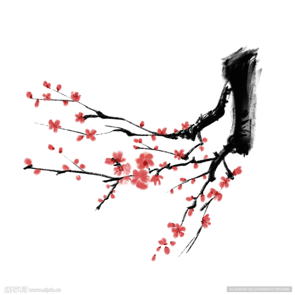 梅花素材