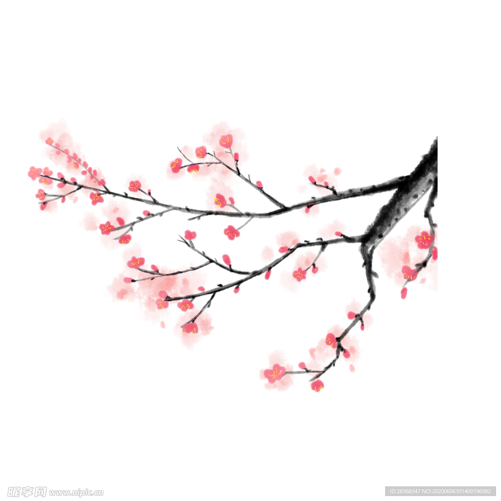 梅花素材
