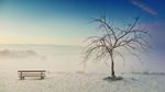 雪后景观图片