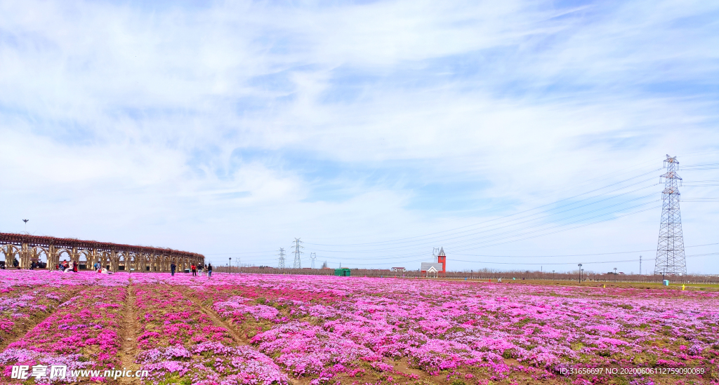 花园