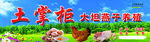 土鸡蛋