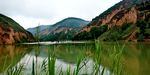 青山绿水