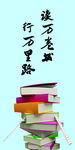 校园文化