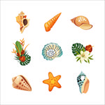 海洋生物