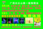 白云山