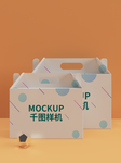 拎手包装箱样机