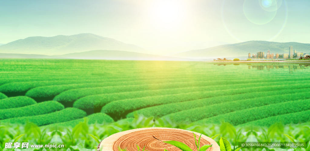 茶园绿色清新木桩背景素材