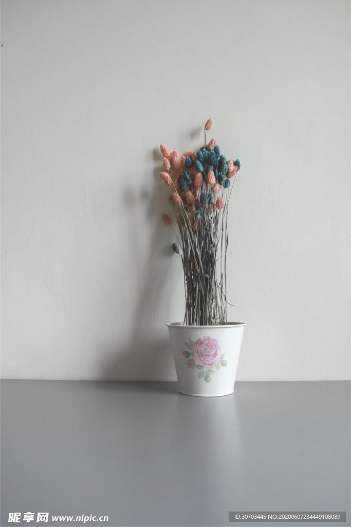 花盆