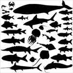 海底生物矢量剪影素材