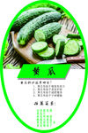 超市蔬菜导购图 黄瓜效果图