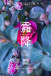 霜降