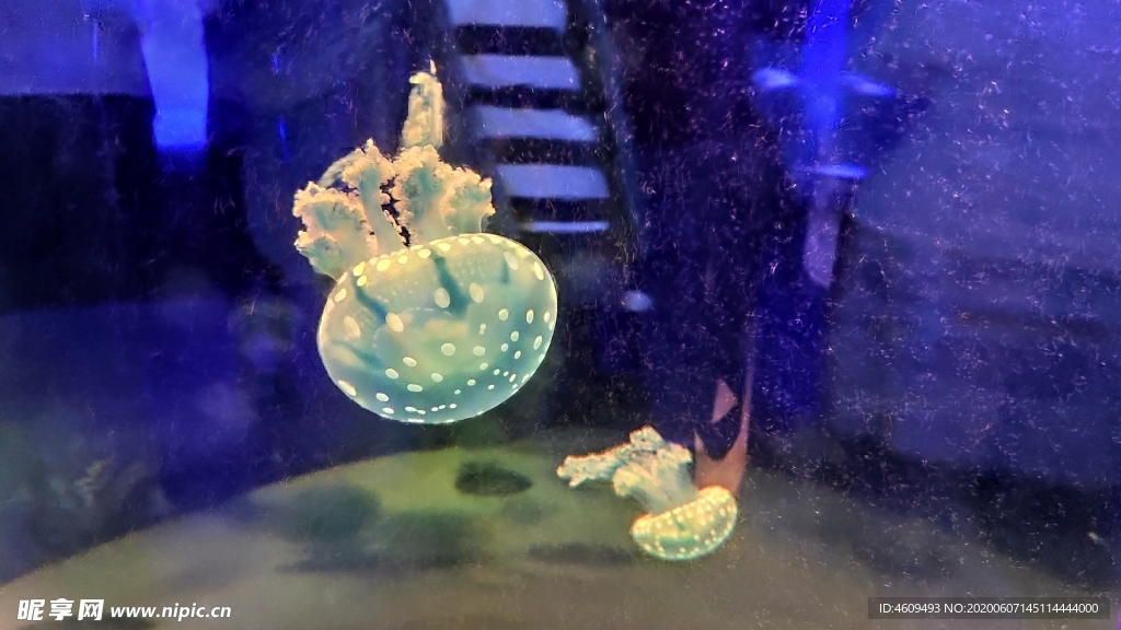 海底世界