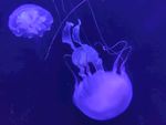 海底世界