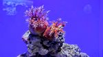 海底世界