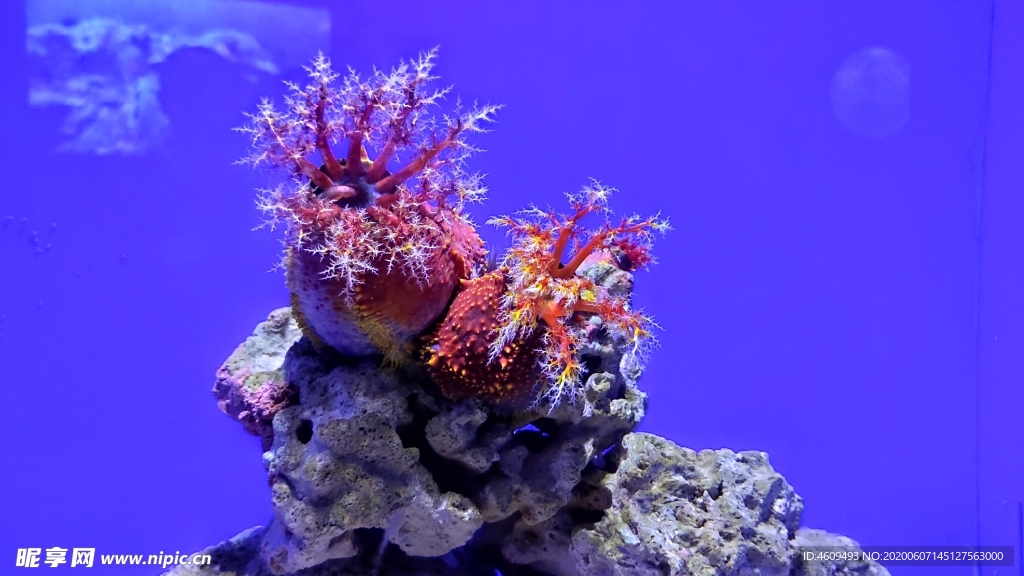海底世界