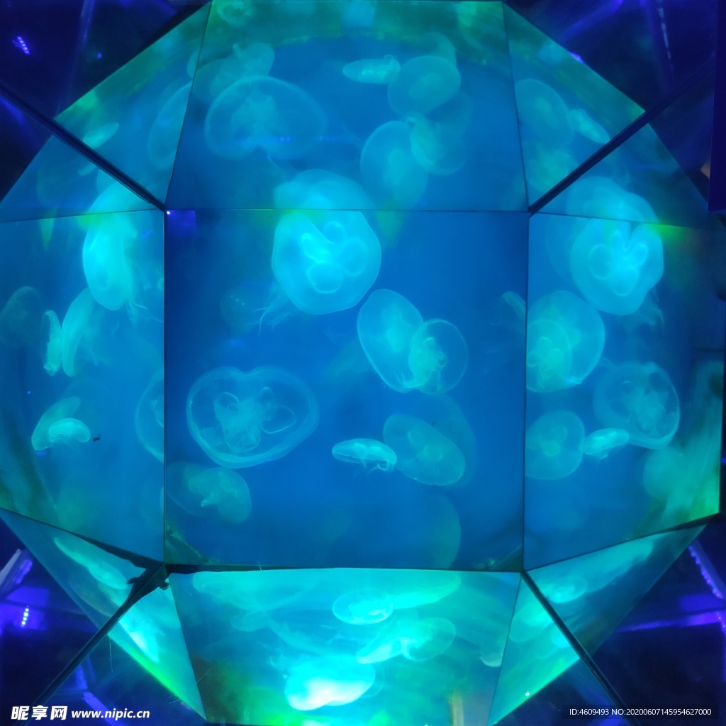 海底世界