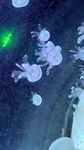 海底世界