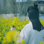 油菜花少女
