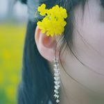 油菜花少女