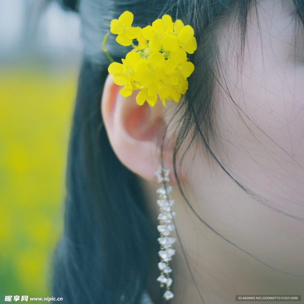 油菜花少女