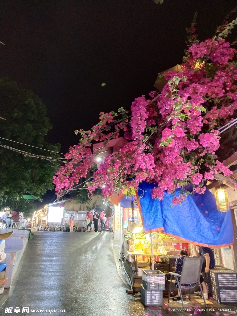 厦门旅游粉色花街角夜色灯火阑珊