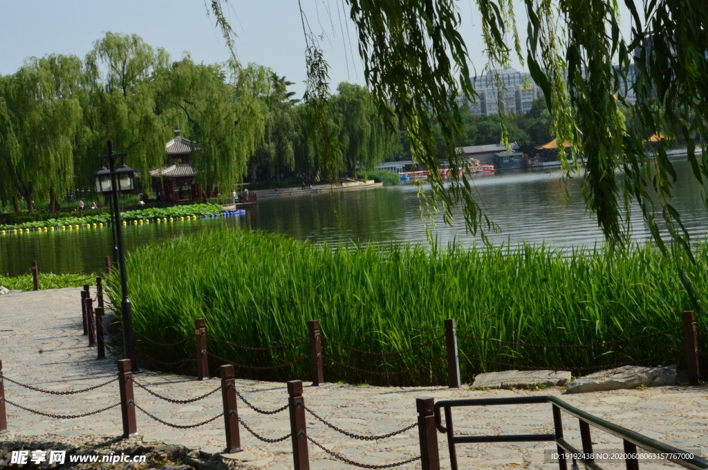 园林风景