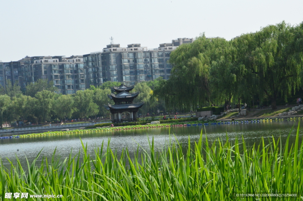园林风景