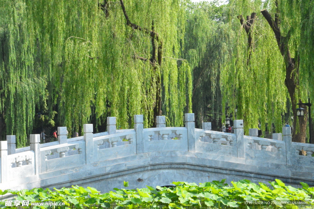 园林风景