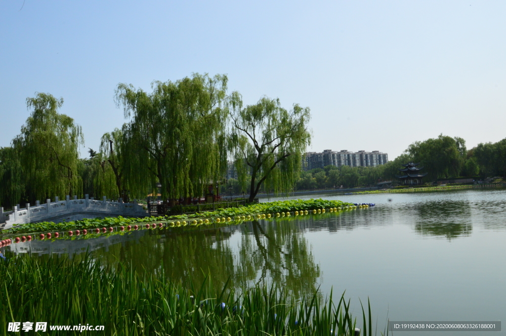 园林风景