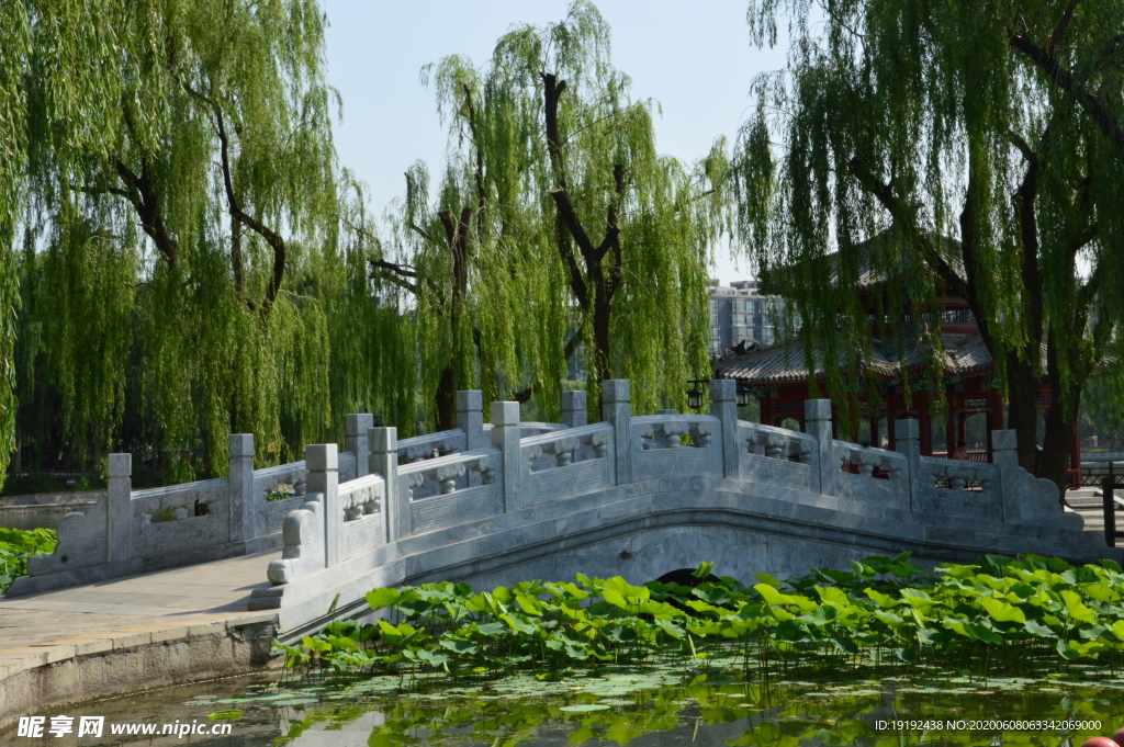 园林风景