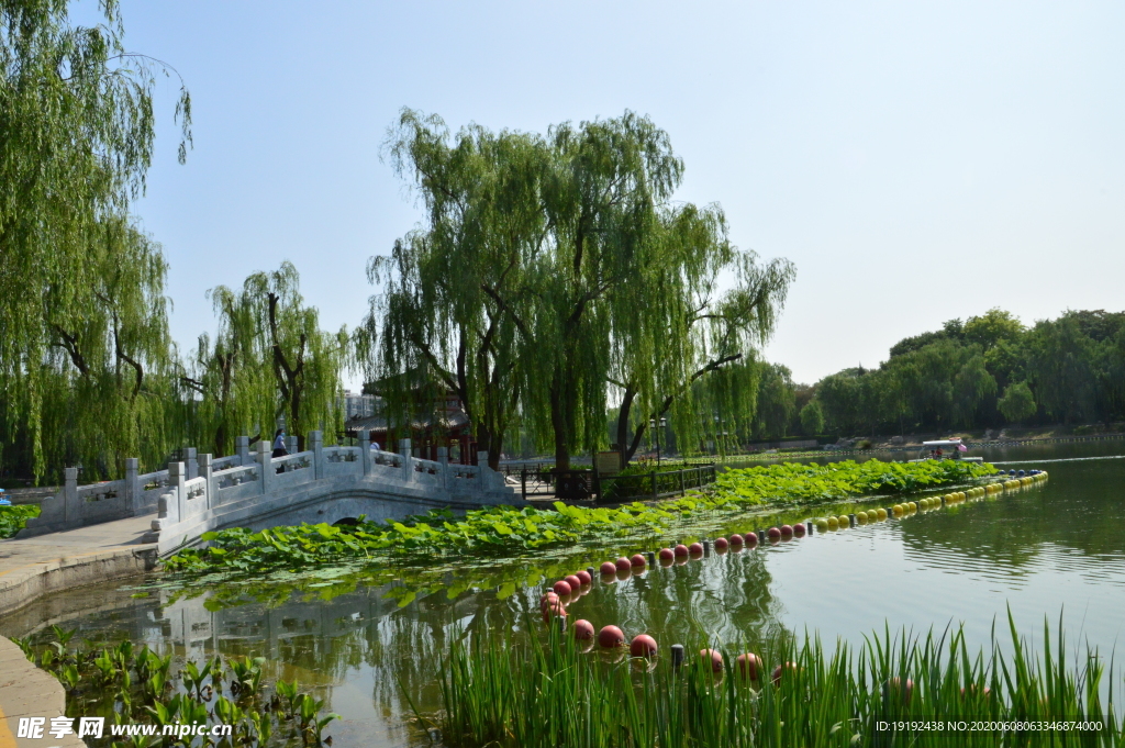 园林风景