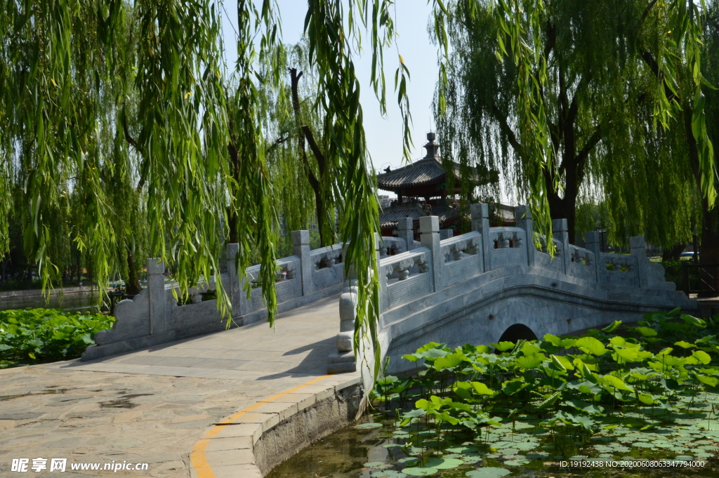 园林风景