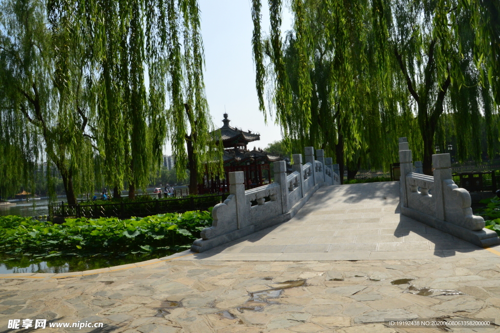 园林风景