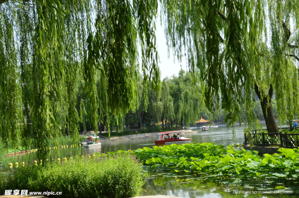 园林风景