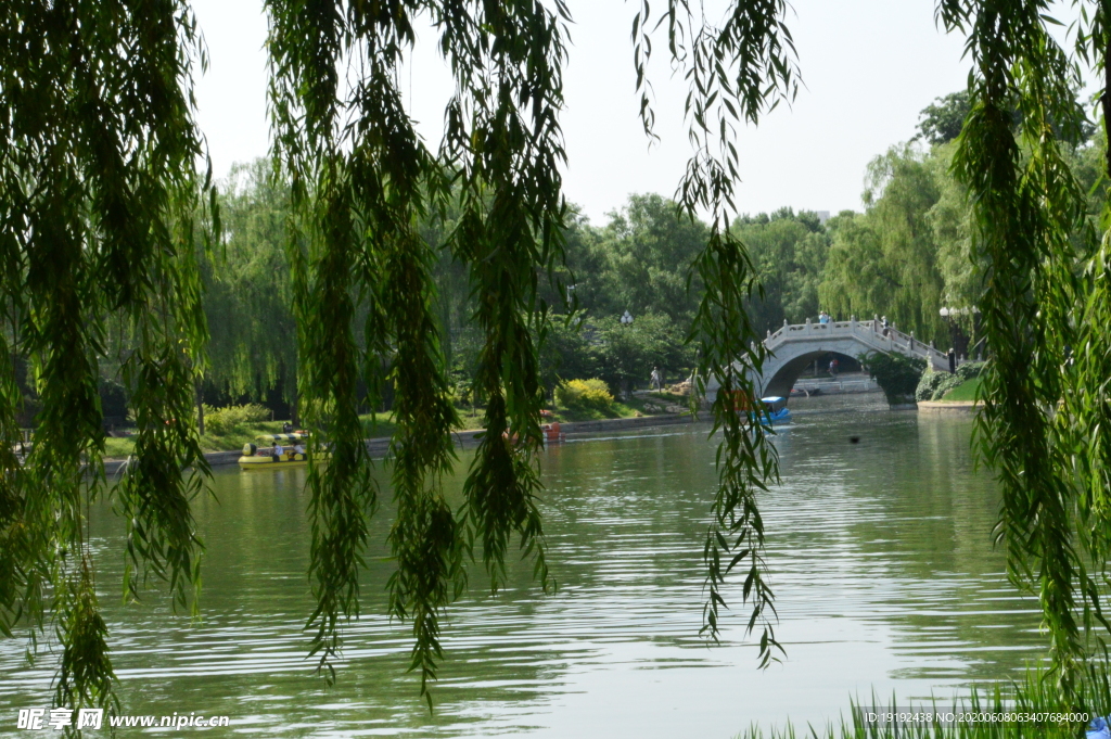 园林风景
