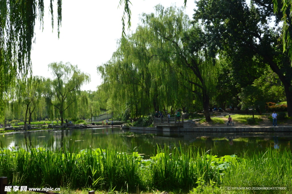 园林风景
