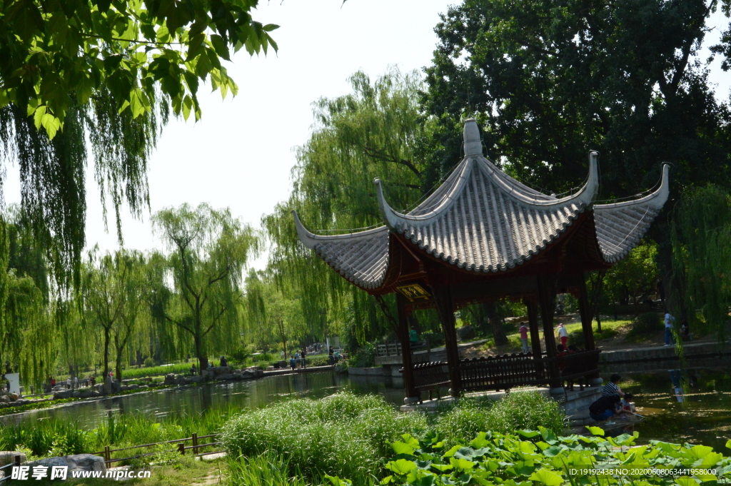 园林风景