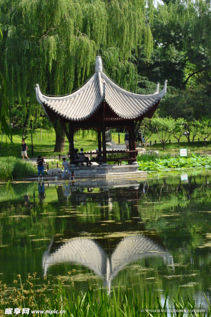 园林风景