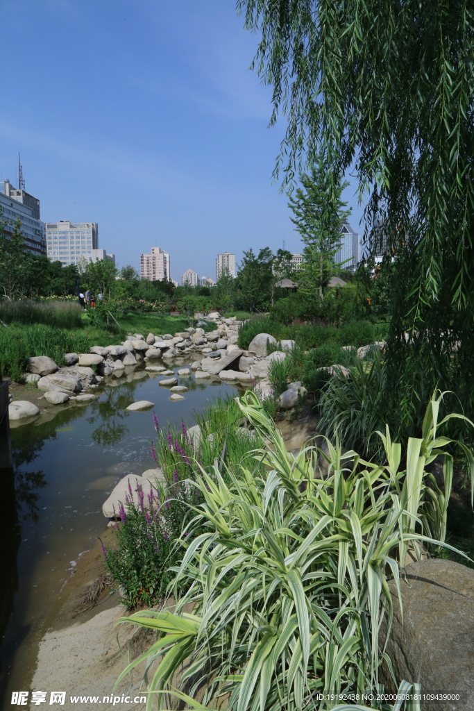 园林风景