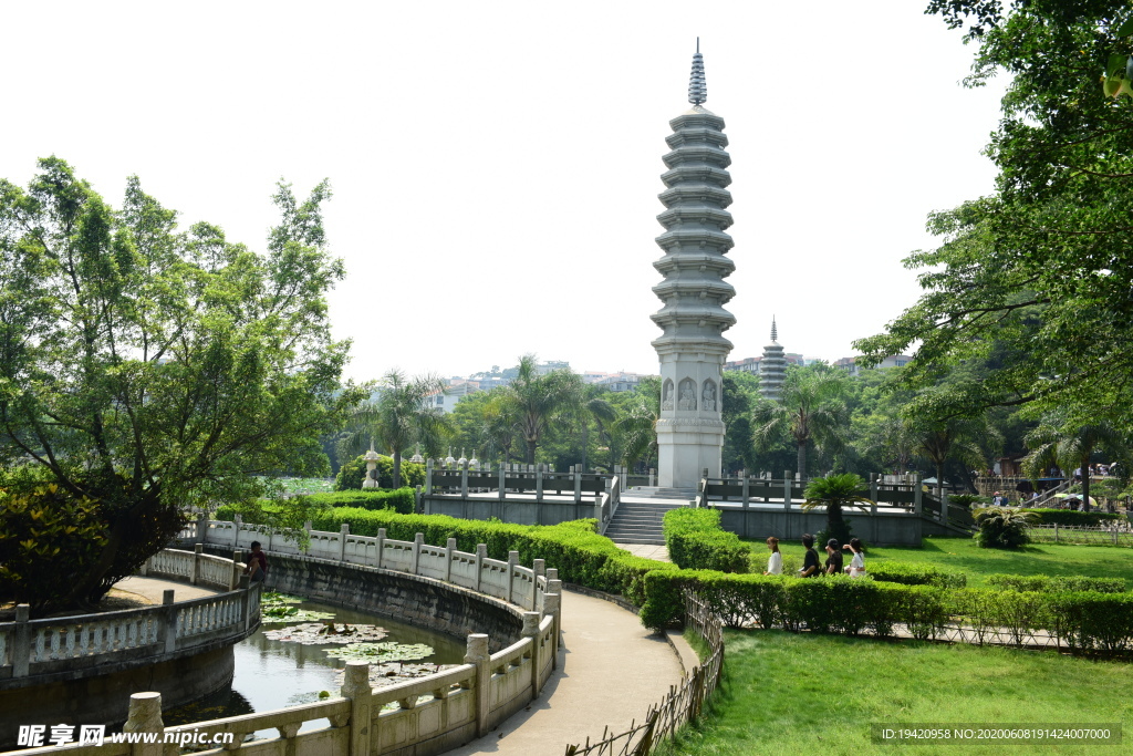 荷塘风景