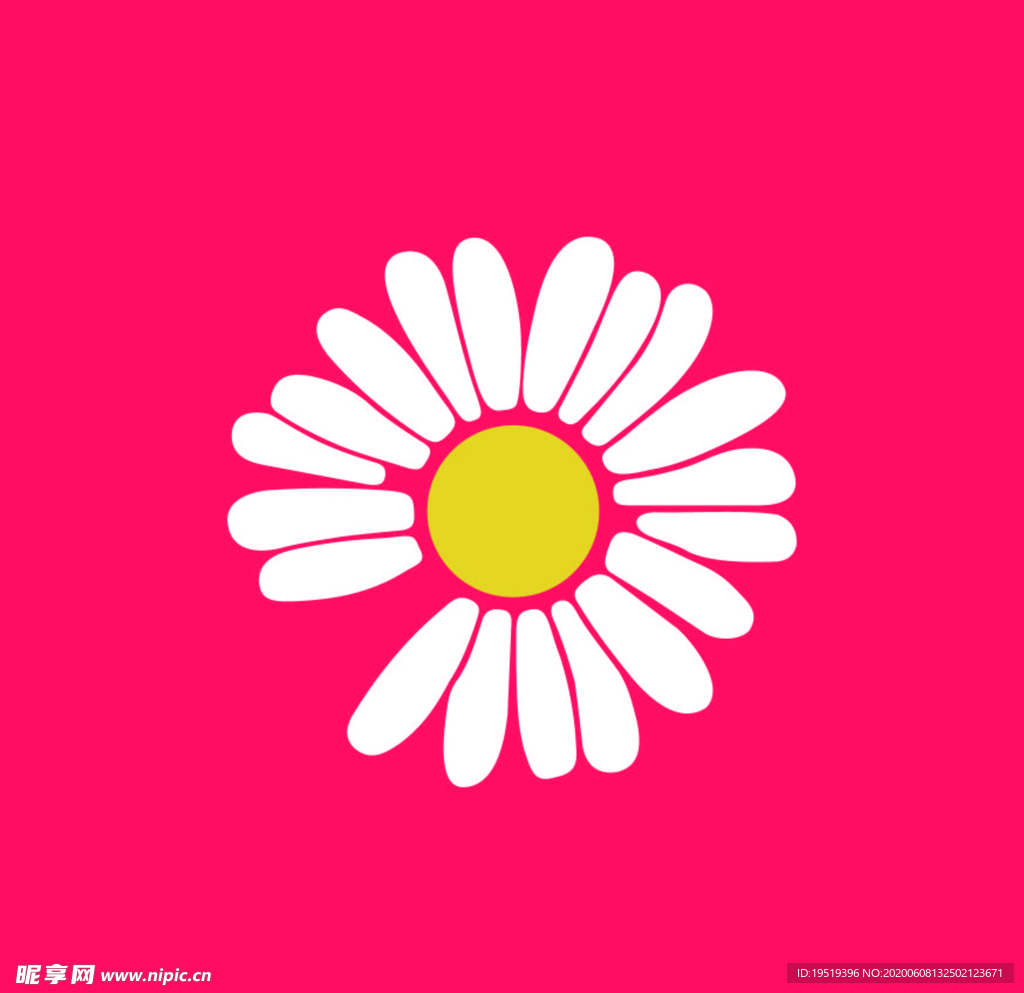小雏菊