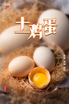 简约土鸡蛋促销海报