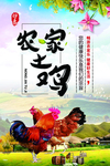 农家土鸡海报