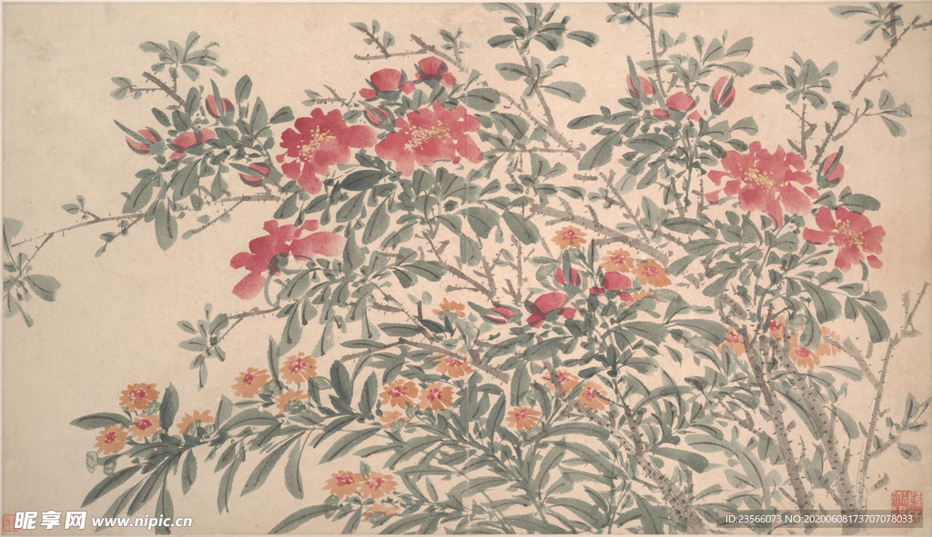 明代陈淳花卉花草绘画