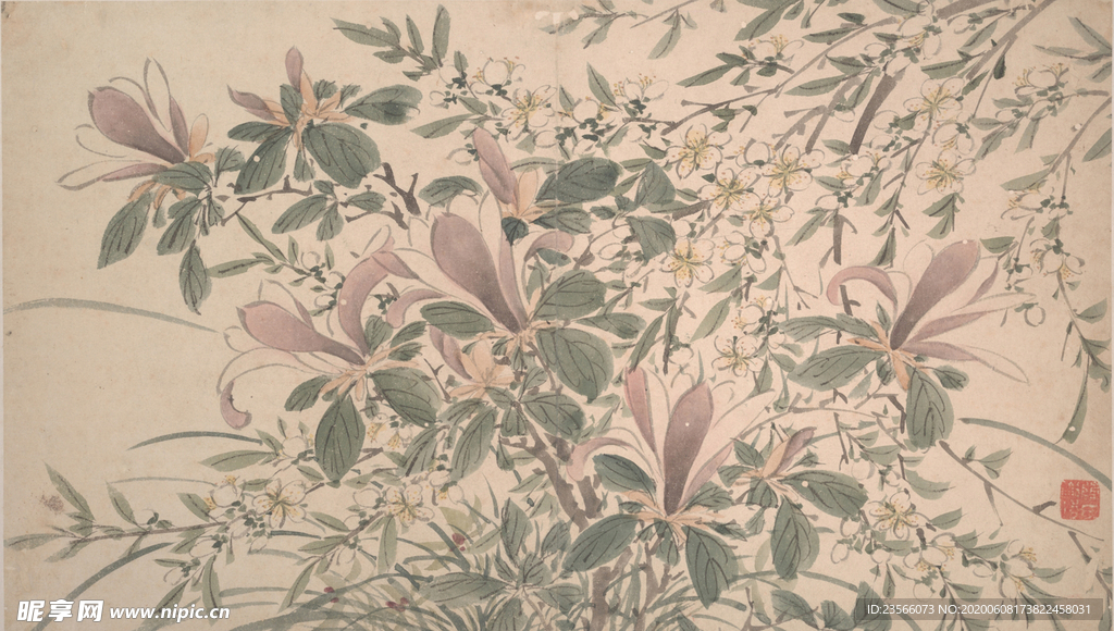 明代陈淳花卉花草绘画