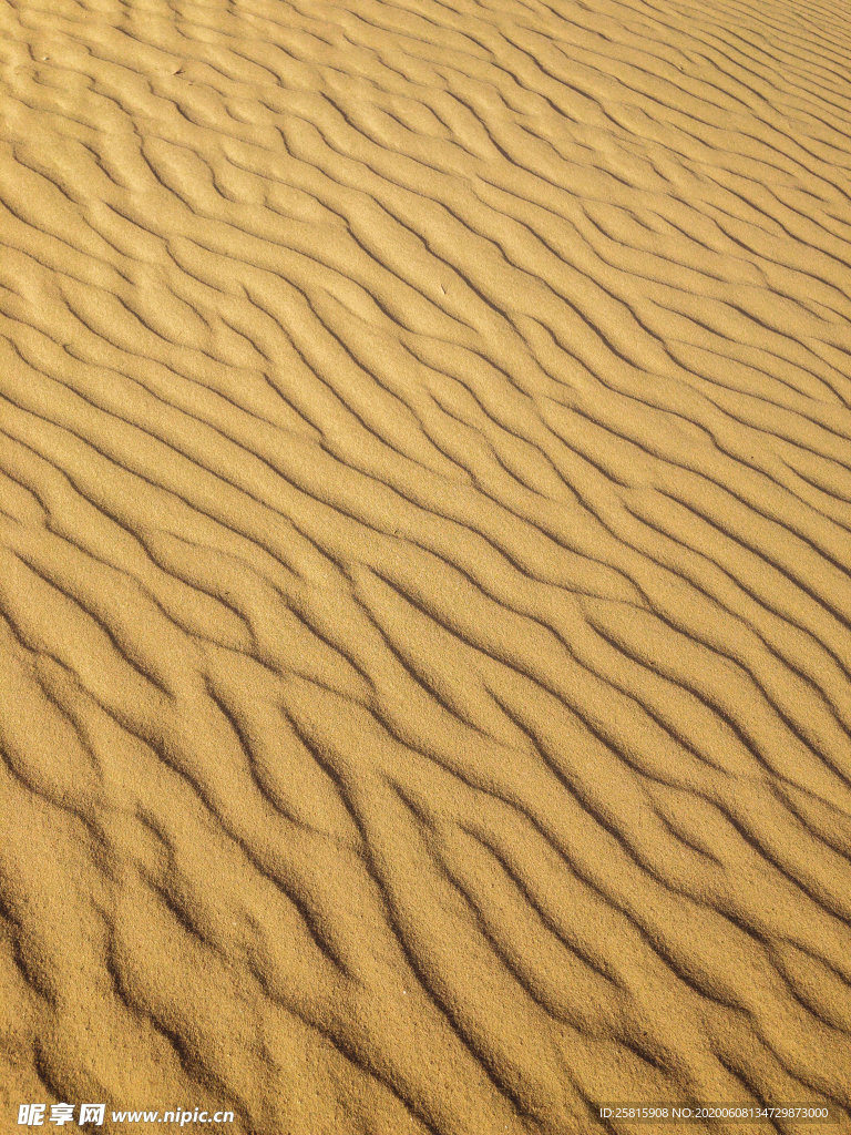 沙漠荒漠戈壁荒野图片